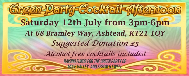 Cocktail party social, Saturday 12 July, 3pm to 6pm, 68 Bramley Way, KT21 1QY